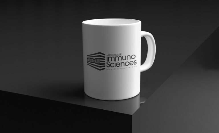 Best Graphic, Designers logo Designers, Social Media Designers, Branding Agency, Marketing Agency based out of Hyderabad